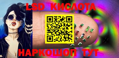 МДПВ Бердск