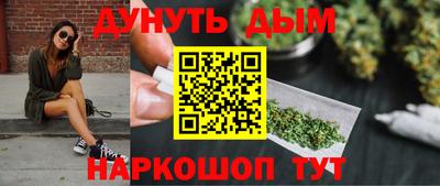 МДПВ Бердск