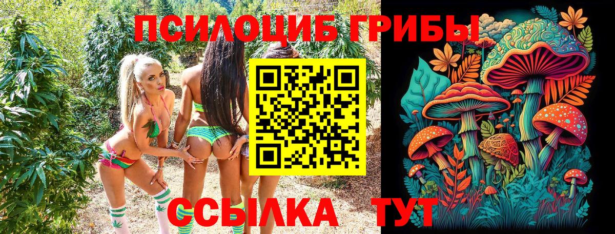 Дзержинский  Галлюциногенные грибы ЛСД  Вход с VPN  Псилоцибиновые грибы MAGIC MUSHROOMS 